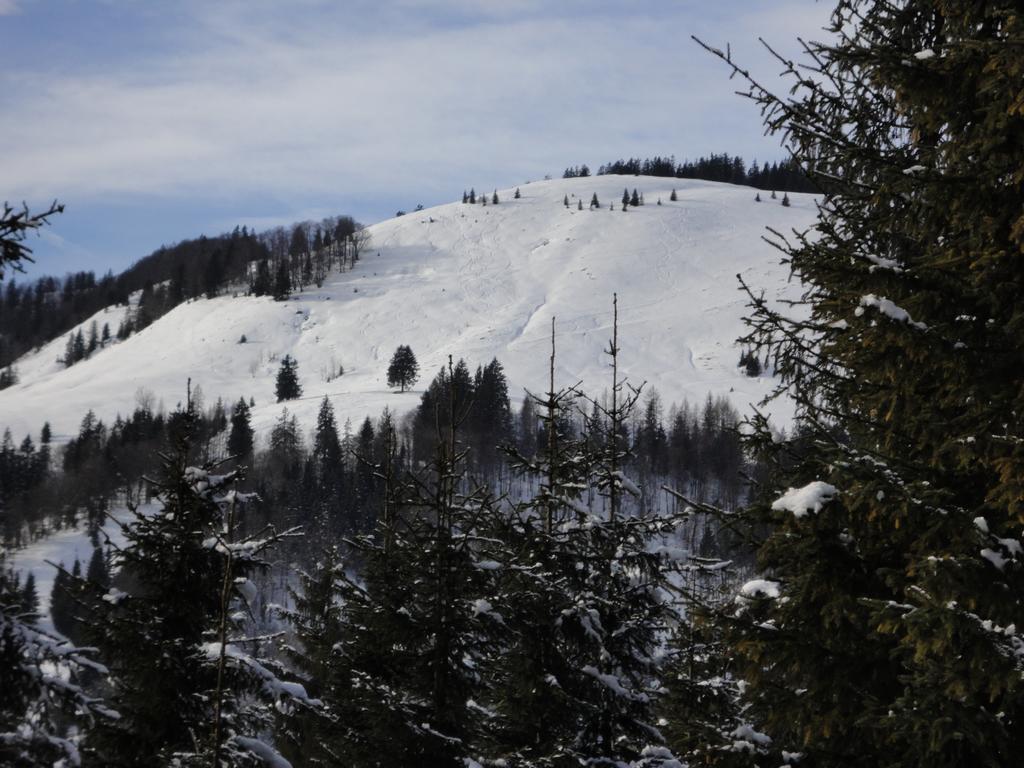 Ferienwohnungen Vordergriess Hochfilzen Exterior photo